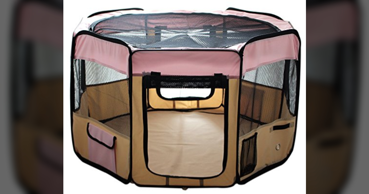 Outdoor / Indoor Playpen for Cats | What Cats Need