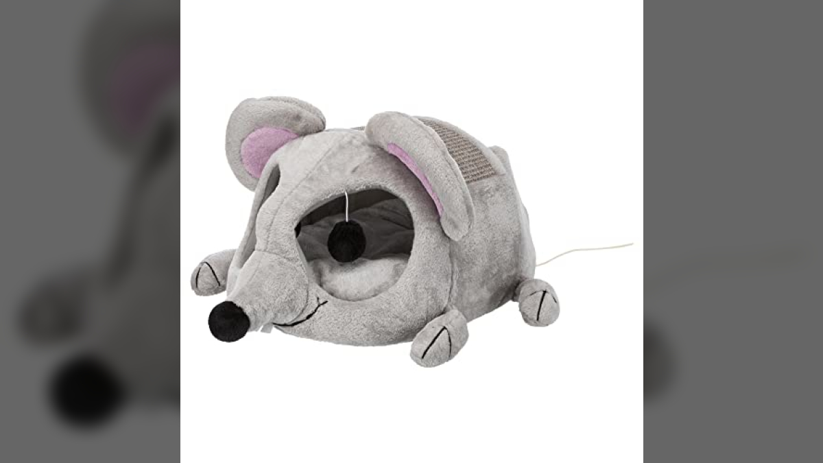 Novelty Cat Beds Fun and Functional Beds for Kitty