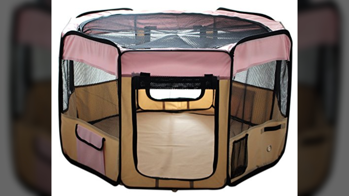 Outdoor / Indoor Playpen for Cats What Cats Need